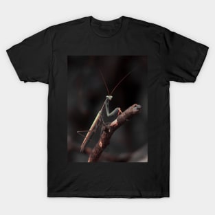 praying mantis T-Shirt